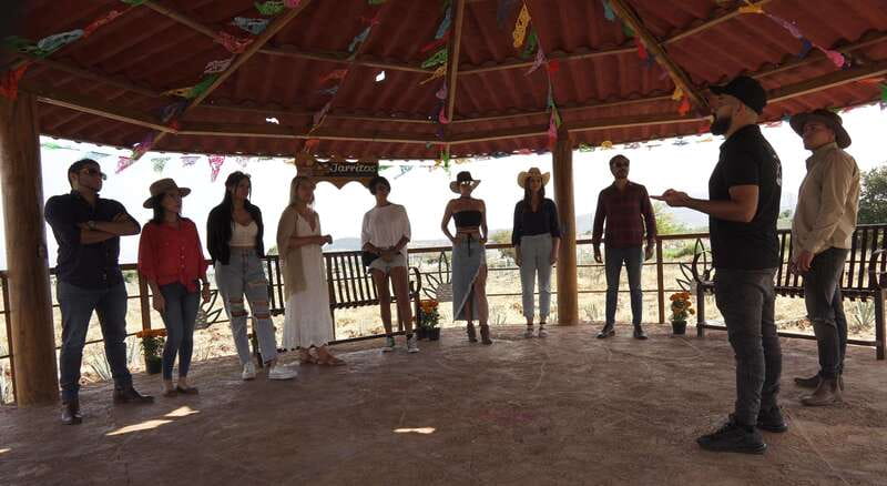 Guadalajara: Premium Tequila Tour with Tastings and Pairings - Tequila Selecto: from traditional ovens to aging rooms