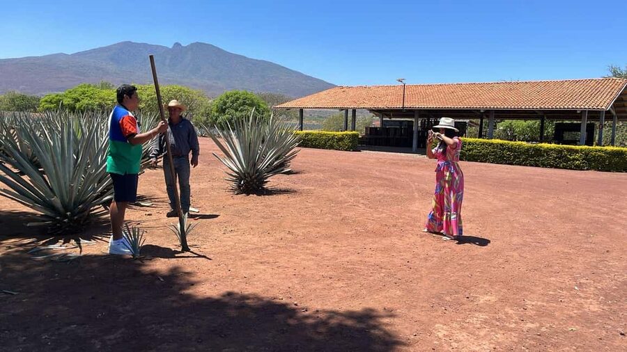 Guadalajara: Tequila Day Trip with Jose Cuervo Option - Key points to know before booking