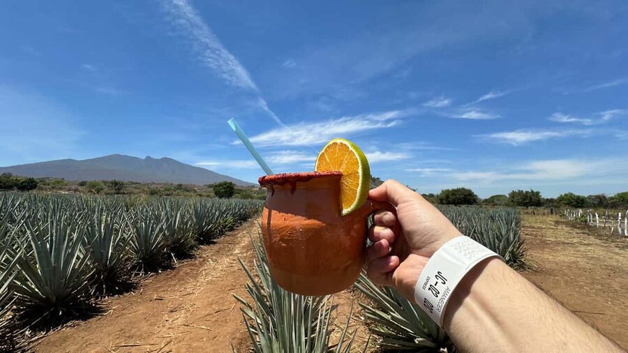 Guadalajara: Tequila Day Trip with Jose Cuervo Option - From Guadalajara into Jalisco’s agave country