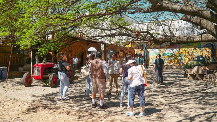 Guadalajara: Tequila Day Trip with Jose Cuervo Option - How the schedule feels over eight hours