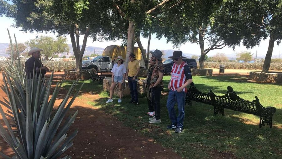 Guadalajara: Tequila Day Trip with Jose Cuervo Option - Is $80 good value?