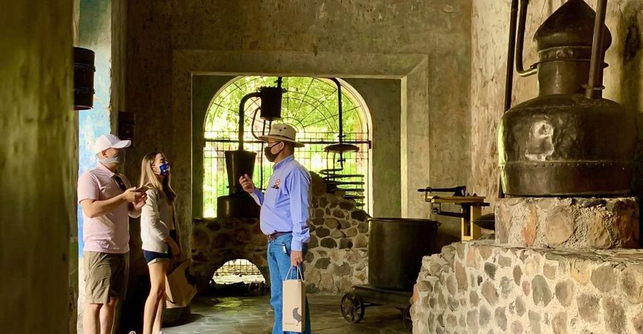 Guadalajara: Tequila Day Trip with Jose Cuervo Option - Who should book this day trip?