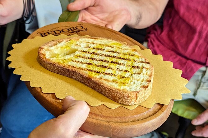Guided Food Tour with Wine Tasting in Verona - Wine near the Arena: Valpolicella in a short tasting
