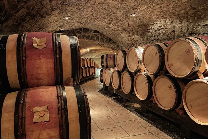 Guided tour and wine tasting Northern Rhône Valley - Meeting Justine at Place Bellecour