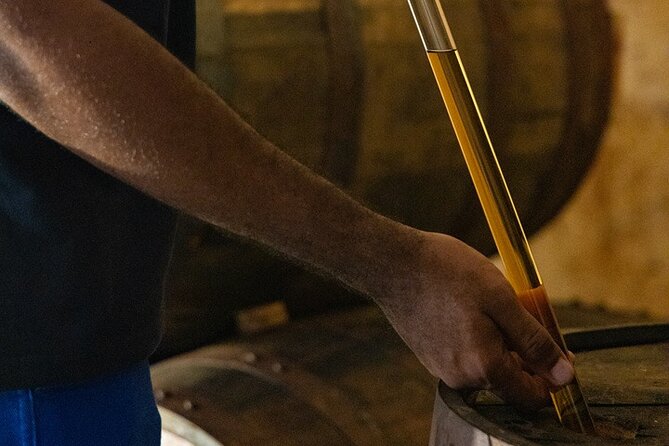 Guided tour with tasting of the Distillery Bonne Mère - The museum explains what the machinery does