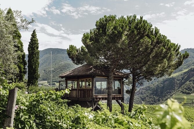 Guided winery tour with tasting in Bolzano at the SKYWINE PAVILLON - Key points to know before booking