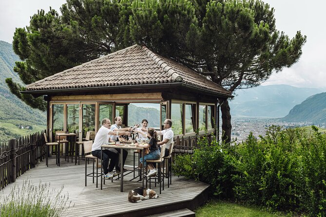 Guided winery tour with tasting in Bolzano at the SKYWINE PAVILLON - A look at natural winemaking in the cellar