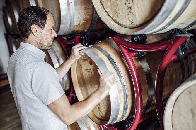Guided winery tour with tasting in Bolzano at the SKYWINE PAVILLON - Tasting six wines in the SKYWINE PAVILLON