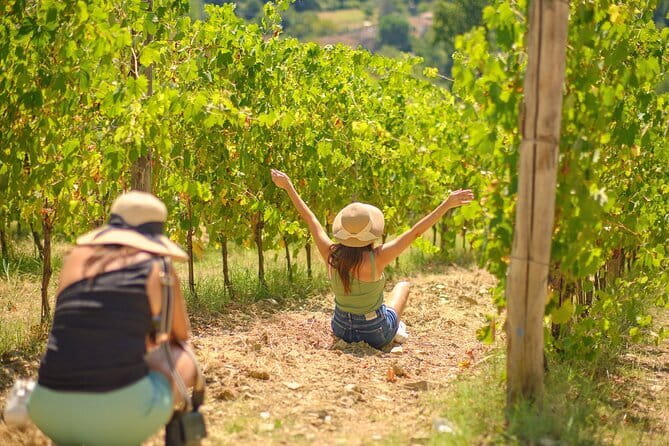 Half day Chianti Vineyard Escape from Florence with Wine Tastings - Key things to know before you book