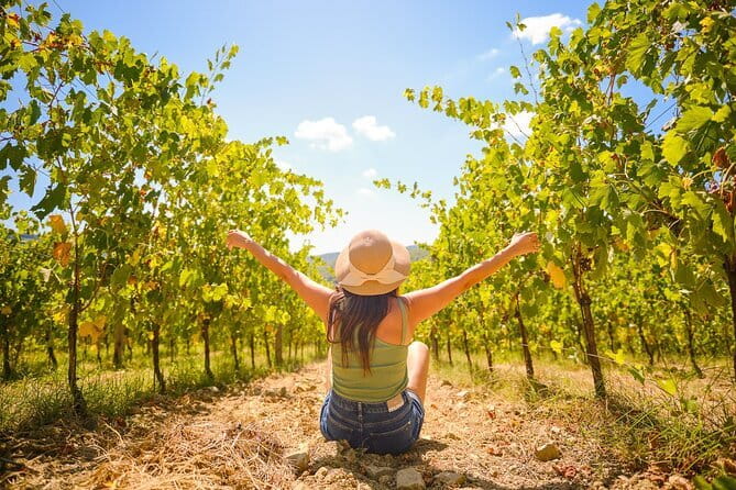 Half day Chianti Vineyard Escape from Florence with Wine Tastings - Why this Chianti outing works from Florence