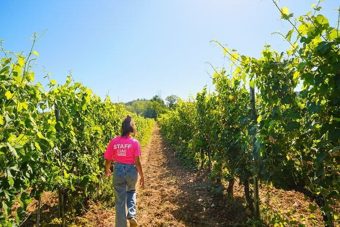 Half day Chianti Vineyard Escape from Florence with Wine Tastings - Piazzale Montelungo and the 40-minute ride south