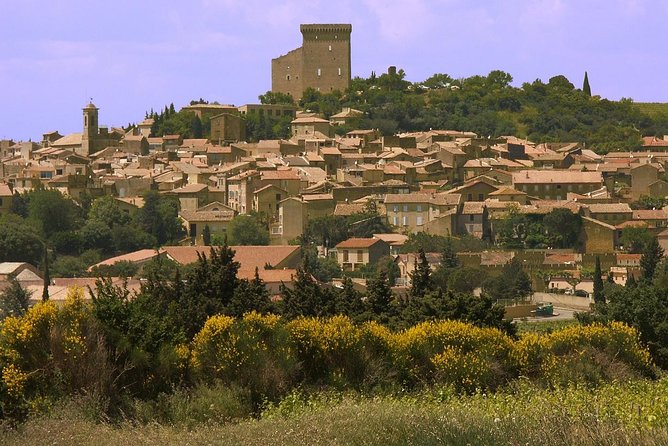 Half Day Great Vineyard Tour from Avignon - The villages and views are part of the value