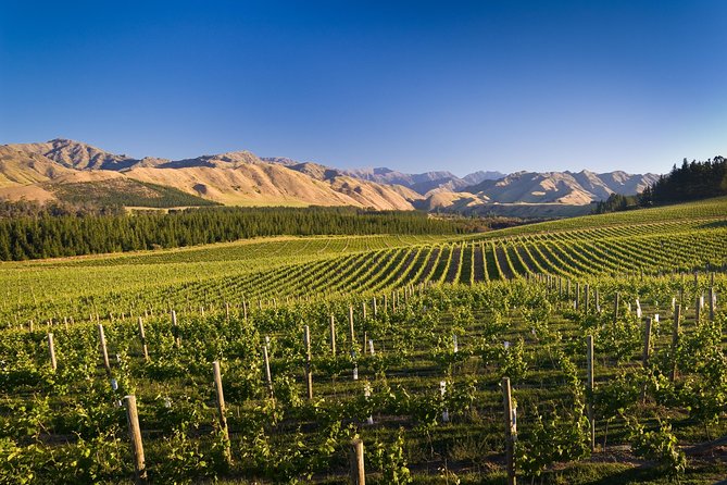 Half-Day Marlborough Wine Tour & Beer Tour - Hunter’s Wines Cellar Door and Wine Shop