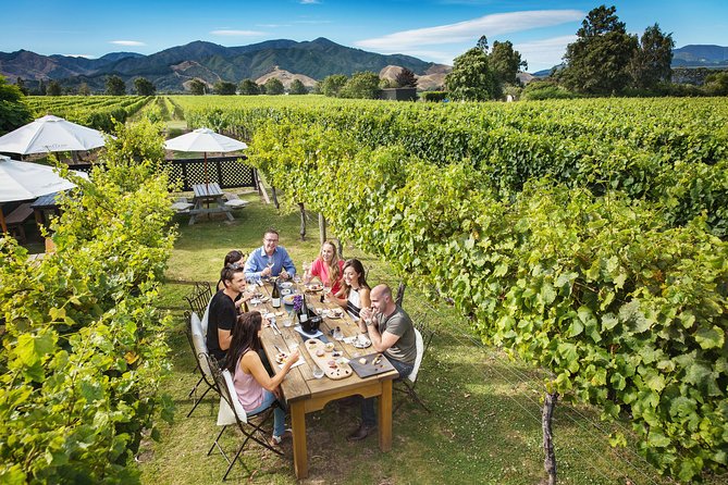 Half-Day Marlborough Wine Tour & Beer Tour - Is $129.70 good value?