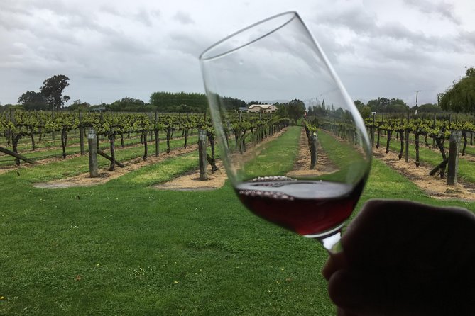 Half-Day Marlborough Wine Tour & Beer Tour - Framingham Wines and the value of guided choices