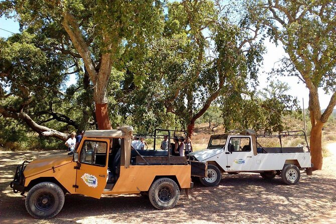 Half Day Safari Tour with Wine Tasting - Leaving Albufeira for the rural Algarve