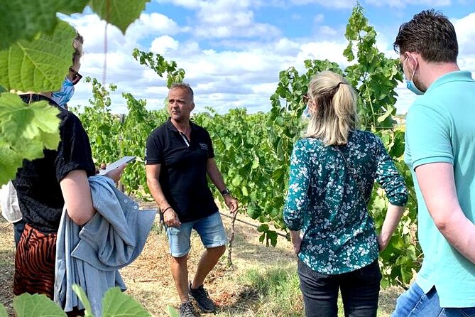 Half Day Safari Tour with Wine Tasting - What the guides add to the day