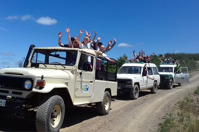 Half Day Safari Tour with Wine Tasting - Timing, pickup, and cancellation details