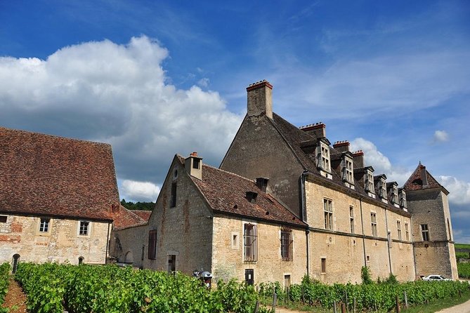 Half Day Tour of the Cote de Nuits Vineyards from Dijon - Walking among the vines
