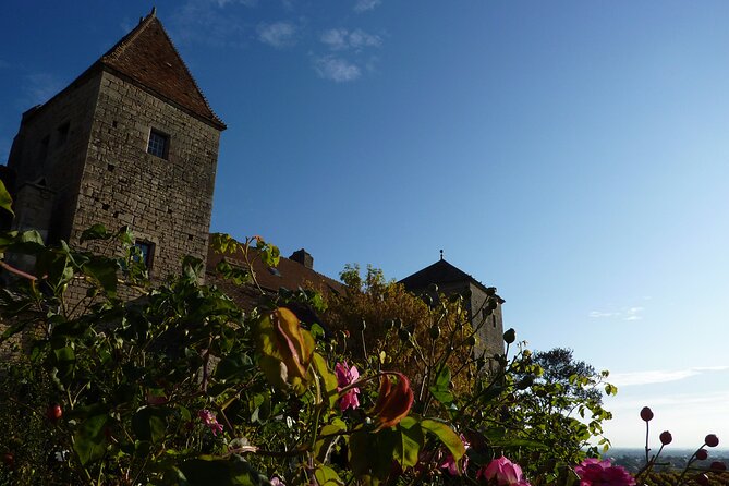 Half Day Tour of the Cote de Nuits Vineyards from Dijon - Inside Château du Clos de Vougeot