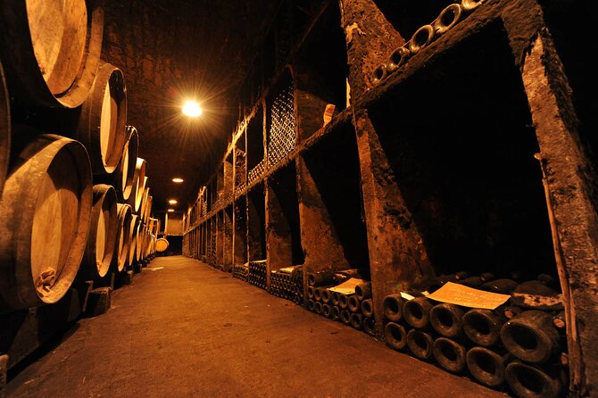 Half Day Tour of the Cote de Nuits Vineyards from Dijon - Is $80 a fair price?