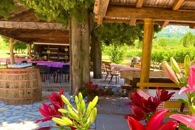 Half-Day Wine and Food Tasting from Dubrovnik - A family winery with a long local story