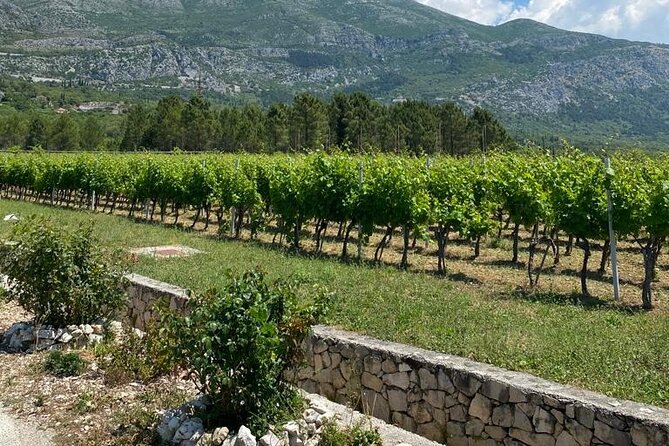 Half-Day Wine and Food Tasting from Dubrovnik - Cavtat adds a relaxed finish