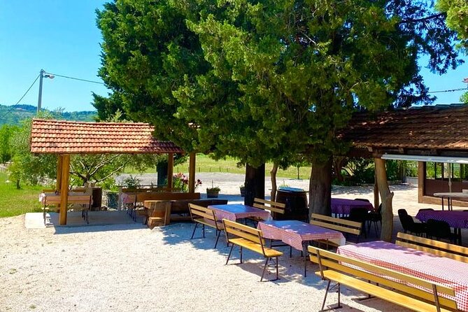 Half-Day Wine and Food Tasting from Dubrovnik - Who will enjoy this afternoon most