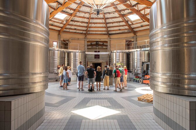 Half-Day Wine tour across Bordeaux’s Vineyards - A gentle introduction to Bordeaux wine country