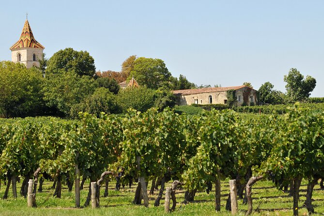 Half-Day Wine tour across Bordeaux’s Vineyards - How much wine will you actually taste?
