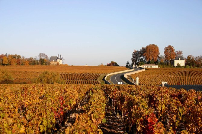 Half-Day Wine tour across Bordeaux’s Vineyards - Who will get the most from this tour?