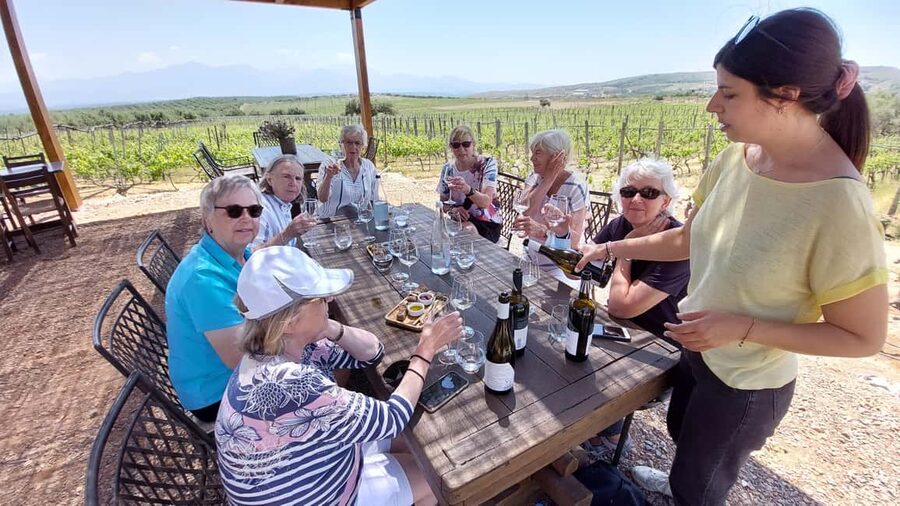 Heraklion: Cretan Wine Tasting Tour & Gourmet Lunch - Two wineries, two different views of Cretan wine