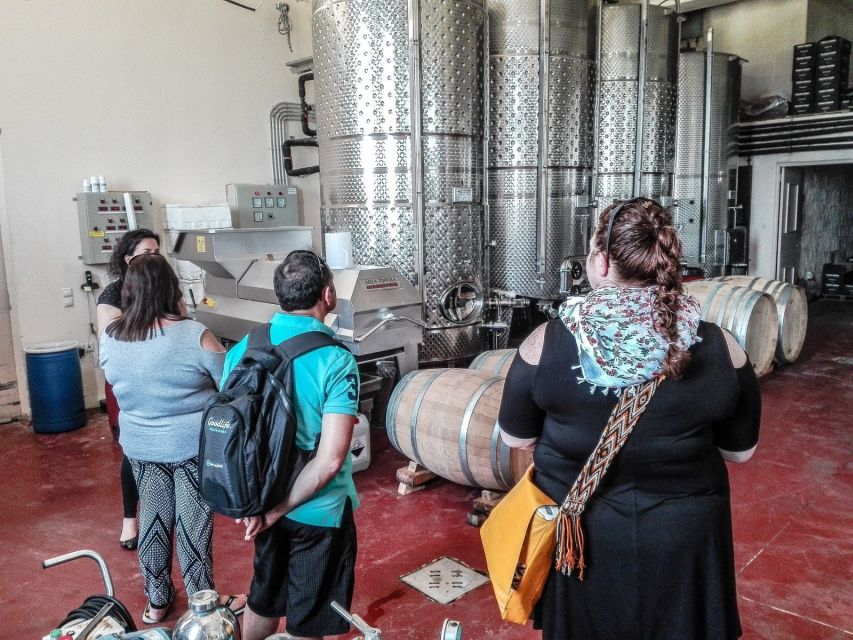 Heraklion: Cretan Wine Tasting Tour & Gourmet Lunch - Learning the grapes without a lecture overload