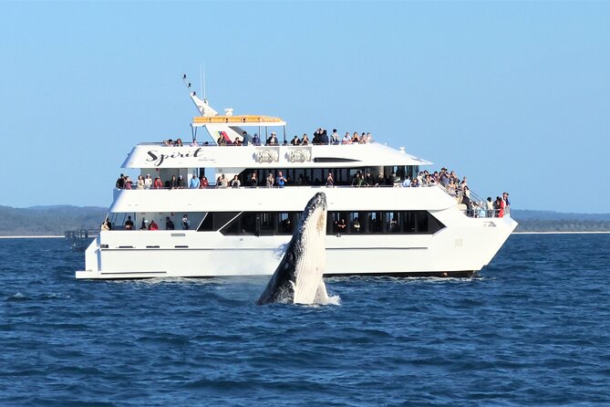 Hervey Bay Champagne Sunset Sail - What the boat feels like under way