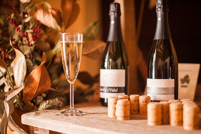 High-End Vineyard Escape: Cava, Tapas & Wine | Private Tour - Wine, food, and the pace of the day