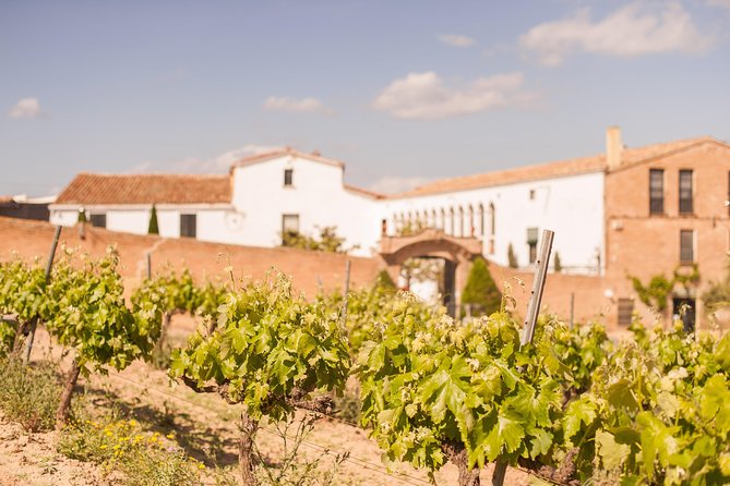 High-End Vineyard Escape: Cava, Tapas & Wine | Private Tour - Who will enjoy this tour most
