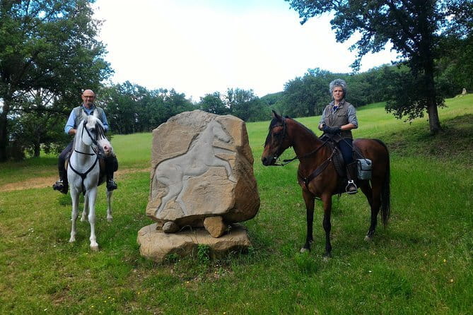 Horseback riding & Wine Tasting and snack Lunch at noble Estate - Meeting your horse and learning the basics