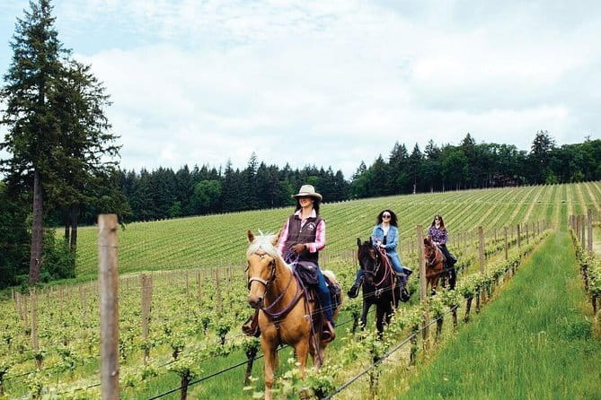 Horseback riding & Wine Tasting and snack Lunch at noble Estate - Why the private format matters