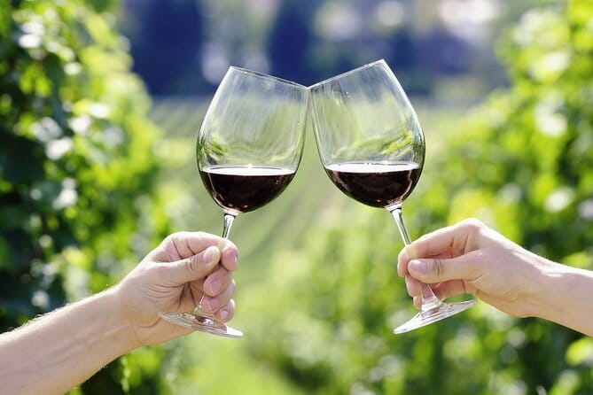 Horseback Riding with Wine Tour from Florence - Riding gentle horses near San Gimignano