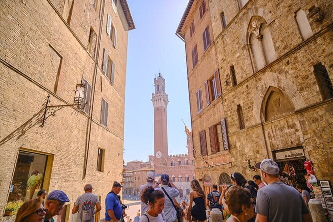 Horseback Riding with Wine Tour from Florence - Tuscan lunch and a guided wine tasting