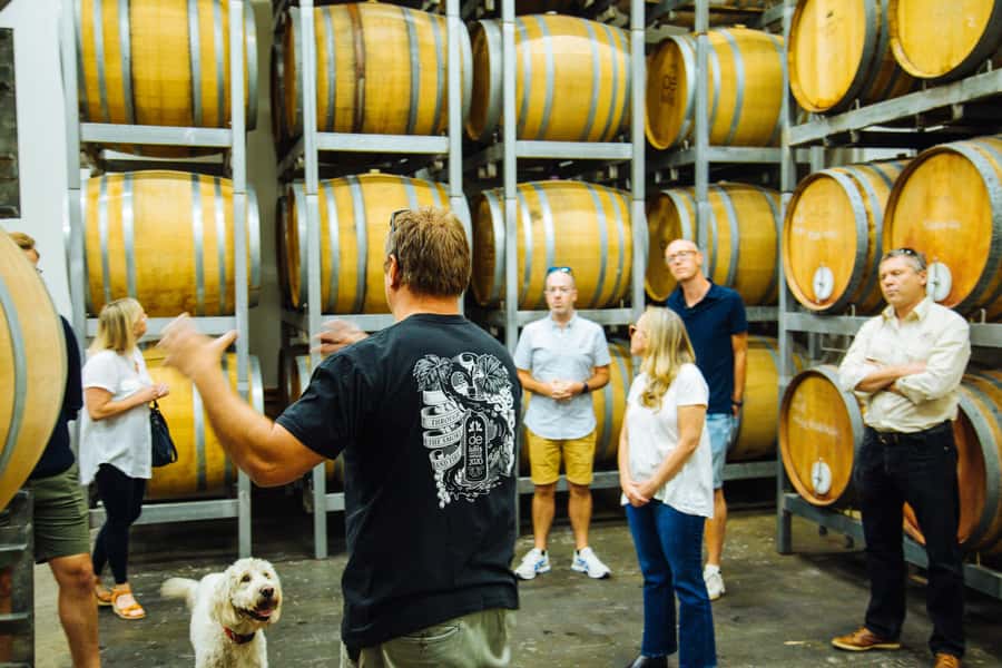 Hunter Valley: Wine, Spirits, and Cheese Tour with Lunch - Cheese and chocolate make the tasting feel local