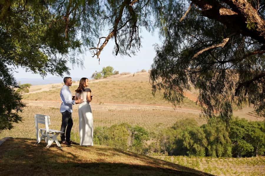 Hunter Valley: Wine Tour with 3 Tastings and Garden Lunch - Who will enjoy this tour most?