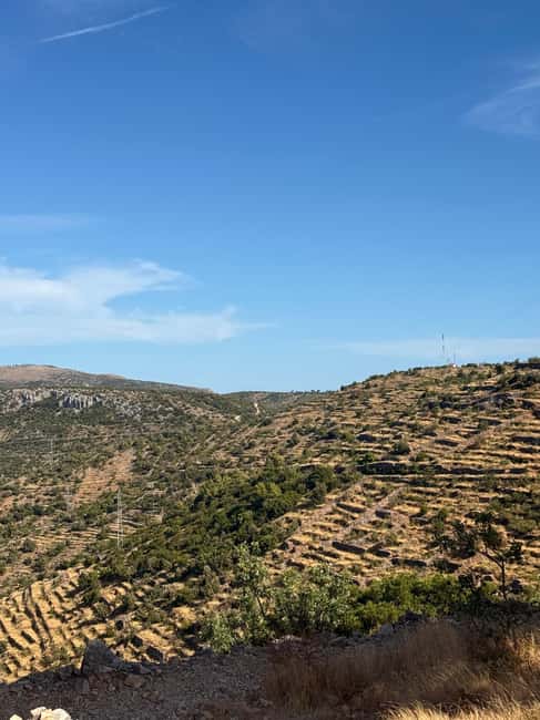 Hvar: Hvar Wine Tasting Experience - Key Points to Know