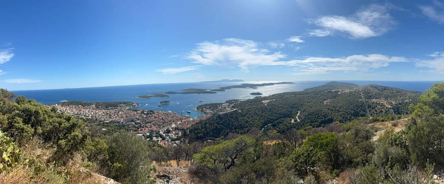 Hvar: Hvar Wine Tasting Experience - Lavender Fields, Olive Trees, and Old Villages