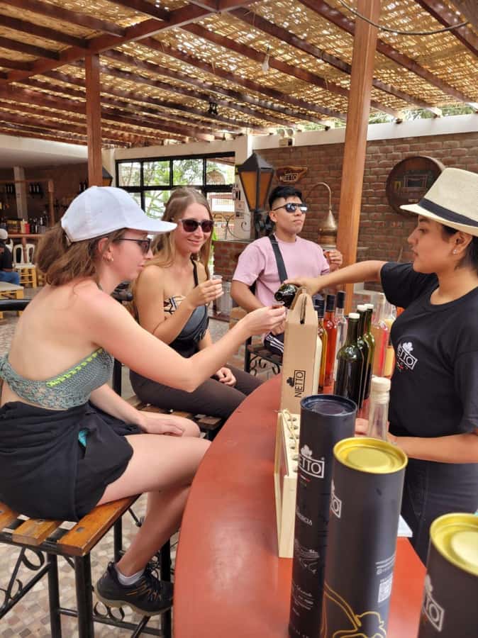 ICA: Pisco and Wine Route with tasting in 03 Wineries - How pisco changes from grape to spirit