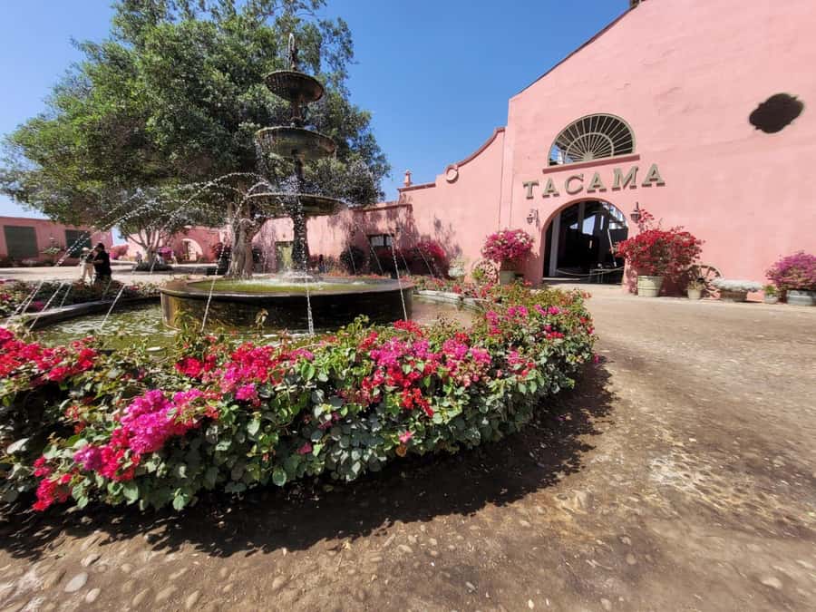 ICA: Pisco and Wine Route with tasting in 03 Wineries - Regional lunch, priced separately