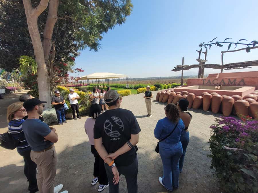 ICA: Pisco and Wine Route with tasting in 03 Wineries - What the $29 price really buys