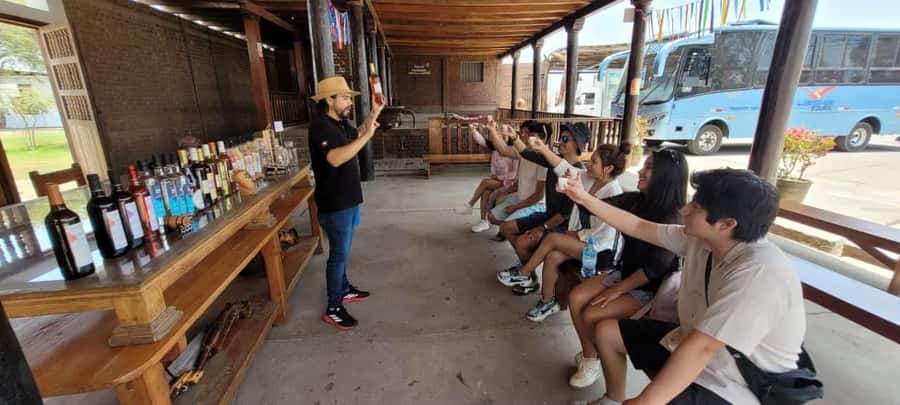 ICA: Pisco and Wine Route with tasting in 03 Wineries - Guide quality and language support