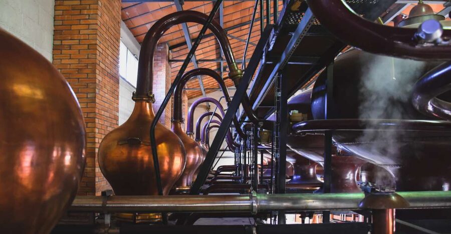 Jarnac: Braastad cognac discovery tour - From vineyard to wine
