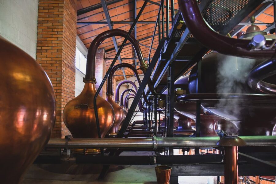 Jarnac: Braastad cognac discovery tour - Old bottles, facts, and a compact museum